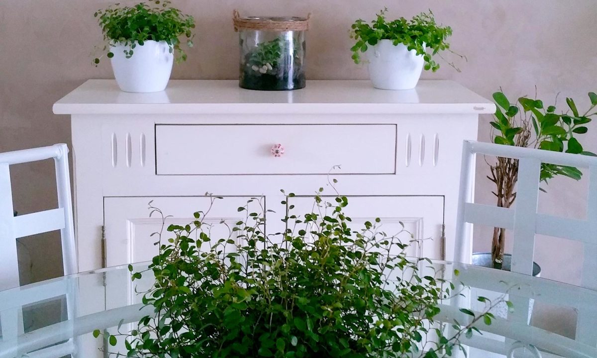 nature et salle à manger bahut blanc et plantes vertes