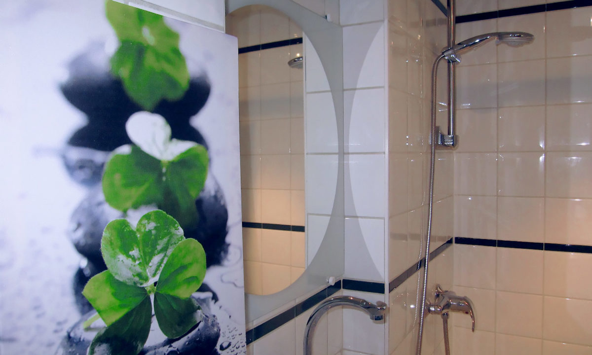 réalisations décoration salle d'eau sous les combles avec douche