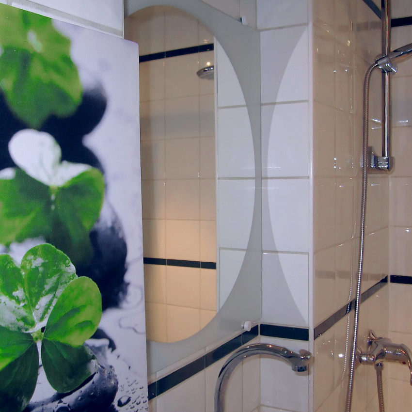 réalisations décoration salle d'eau sous les combles avec douche
